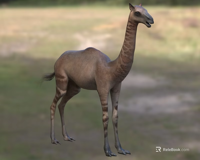 Realistic Ancient Long Neck Reptile Standing Gracefully in Lush Grassland Habitat 3d model 