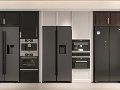 Sleek Modern Kitchen Appliances With Black White Refrigerators Ovens And Cabinets 3d model