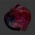 Modern Yellow Onion Purple Onion White Onion Red Onion 3d model