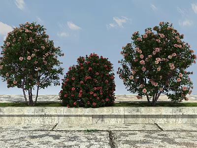 Central Flowering Shrub With Red Blooms Between Two Pink Blossom Trees On Stone Surface 3d model
