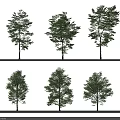 Various Arbor Trees in Different Forms Isolated on White Background 3d model
