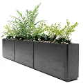 Rectangular Planter with Various Green Potted Plants Tropical Leaves and Small Shrubs 3d model