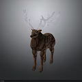 Brown Deer With Large White Antlers Standing On Dark Background