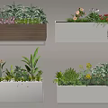 Bonsai Potted Plants in Varied Planters with Diverse Greenery and Flowering Species