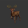 Brown Deer With Large Antlers Standing On Simple Gray Background
