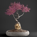 Bonsai Plant 02 3d model