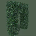 Green Plant Archway With Lush Foliage For Garden Decoration Design