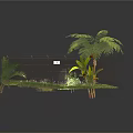 Modern Garden Area With Wire Fence Palm Tree Ferns And Lush Green Plants