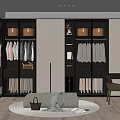 Modern Walk in Closet Interior Design With Glass Door Wardrobes Hanging Clothes And Storage Cabinets