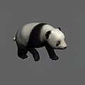 Realistic 3D Panda Model With Black And White Fur Standing Pose 3d model