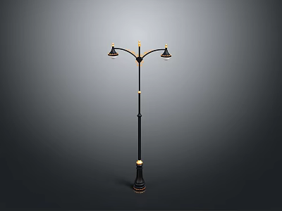 Black Street Lamp With Two Lamp Heads And Golden Accents Design 3d model