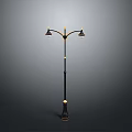 Black Street Lamp With Two Lamp Heads And Golden Accents Design