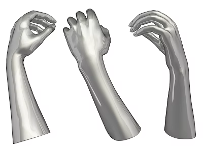 Silver Arm And Hand Model Decorative Ornament Set For Home 3d model