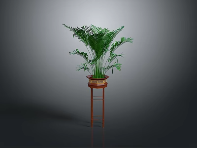 Lush Green Indoor Plant in Brown Planter on Red Stand with Grey Background 3d model