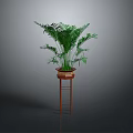 Lush Green Indoor Plant in Brown Planter on Red Stand with Grey Background