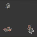 Hanging Aquatic Animals Fish In Different Sizes And Colors Displayed On Hooks