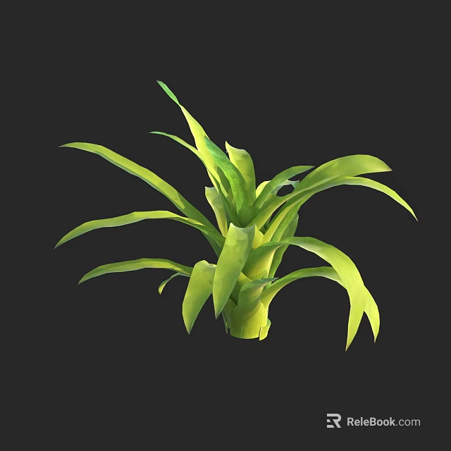 Vibrant Green Plant With Long Lush Leaves And Healthy Tropical Foliage 3d model 
