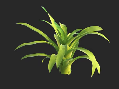 Vibrant Green Plant With Long Lush Leaves And Healthy Tropical Foliage 3d model