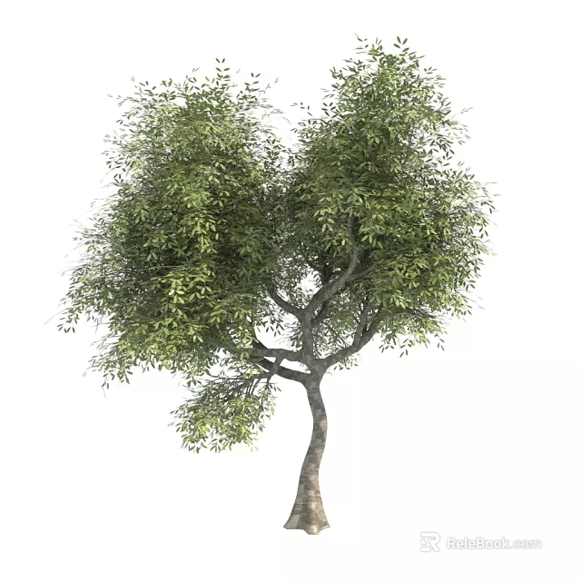 Arbor with Lush Green Leaves and Curved Branches in Natural Form 3d model 