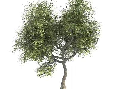 Arbor with Lush Green Leaves and Curved Branches in Natural Form 3d model