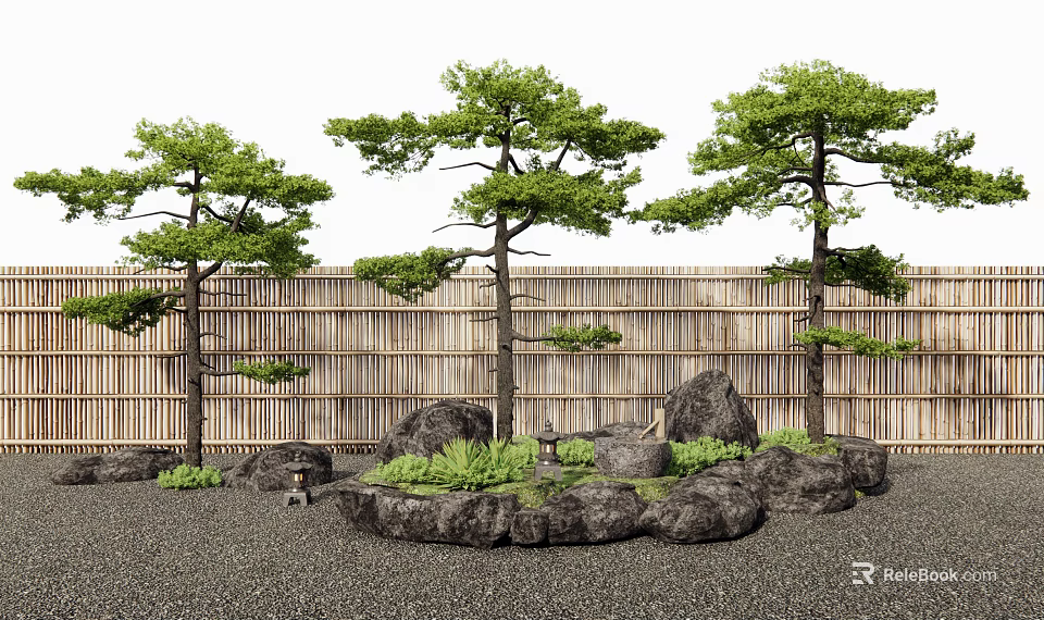 Pine Trees in a Garden with Bamboo Fence Rocks Small Plants and Gravel Ground 3d model 