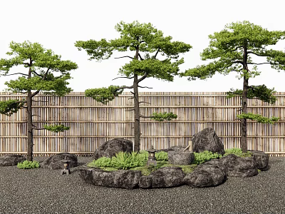 Pine Trees in a Garden with Bamboo Fence Rocks Small Plants and Gravel Ground 3d model