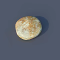 Freshly Baked Golden Brown Round Flatbread With Crispy Surface And Natural Texture 3d model