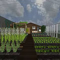Industrial Greenhouse With Transparent Roof Structure Wooden Walkway And Organized Plant Beds
