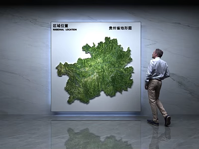 3D Guizhou Topographic Map As Wall Decor In Modern Space 3d model