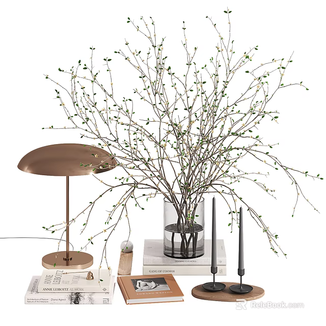 Modern Decorative Ornament Combination With Vase Branches Lamp Candles And Books 3d model 