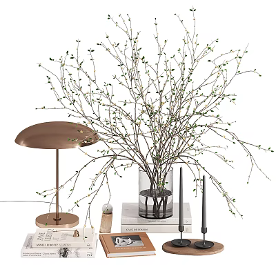 Modern Decorative Ornament Combination With Vase Branches Lamp Candles And Books 3d model