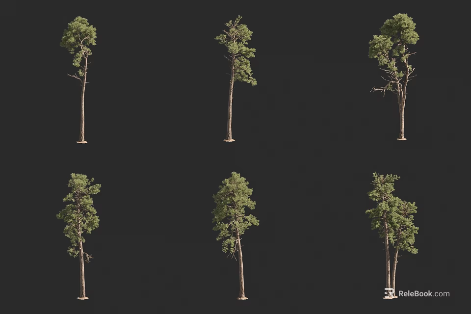Various Arbor Tree Varieties With Diverse Foliage Shapes Against Black Background 3d model