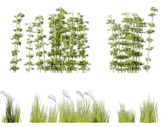 bamboo grass green plant 3d model