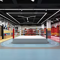 Modern Boxing Fitness Gym Interior With Training Ring Punching Bags And Wall Decor