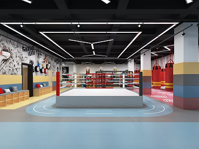Modern Boxing Fitness Gym Interior With Training Ring Punching Bags And Wall Decor 3d model