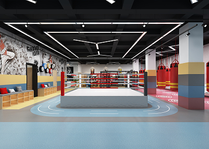 modern boxing gym children's boxing gym 3d model