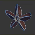 Red Star Shaped Anise Pod Fresh Botanical Plant Close Up View