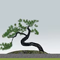 Unique Shaped Arbor Tree on Stone Base Under Bright Sun With Green Grass 3d model