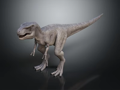 Detailed Tyrannosaurus Dinosaur Model In Standing Pose With Sharp Teeth 3d model