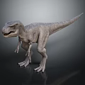 Detailed Tyrannosaurus Dinosaur Model In Standing Pose With Sharp Teeth