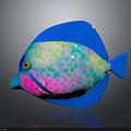 Showcasing Colorful Tropical Fish With Blue Pink Green Spots And Yellow Eyes Fins Tail