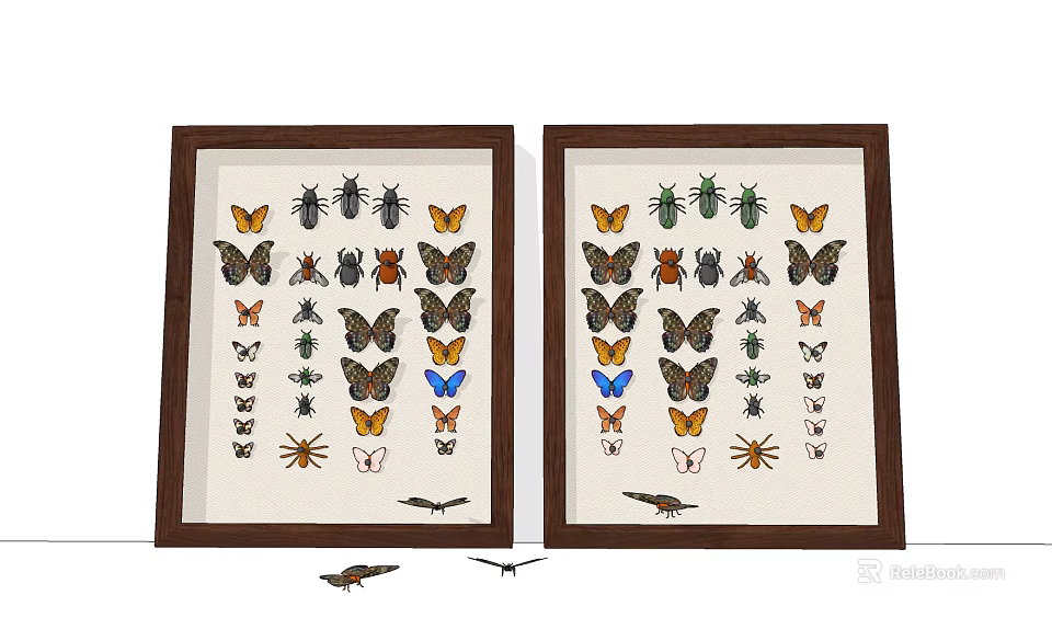 Two Wooden Framed Insect Specimens Display With Butterflies Beetles And Spiders 3d model 