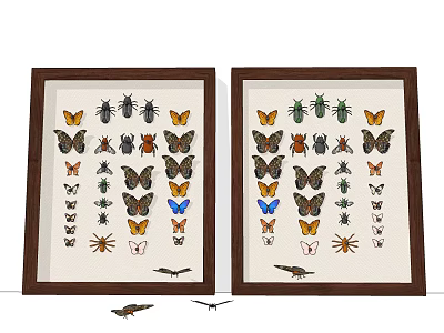 Two Wooden Framed Insect Specimens Display With Butterflies Beetles And Spiders 3d model