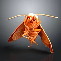 Realistic 3D Rendered Orange Moth With Spread Wings And Antennae On Dark Background