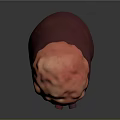 3D Model of Human Kidney with Red Purple Structures and Red Blood Vessels