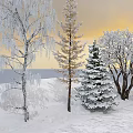 Winter Snowy Landscape With Various Types Of Trees Covered In Snow