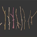 Wooden And Stone Decorative Branches In Various Colors Natural Shapes With Reflections On Black Background