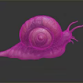 Orange Brown Spiral Shell Reptile Snail with Long Tentacles and Grey Background Reflection