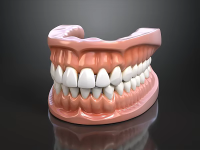 Realistic Dental Model With White Teeth And Pink Gums On Black Background 3d model