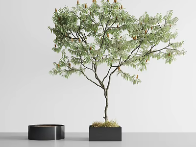 flowerpot tree 3d model